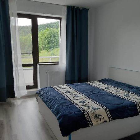 Ferienwohnung Dorin Colina Marei Sinaia Exterior foto