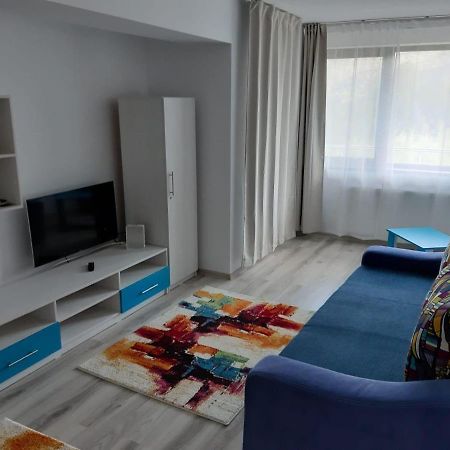 Ferienwohnung Dorin Colina Marei Sinaia Exterior foto