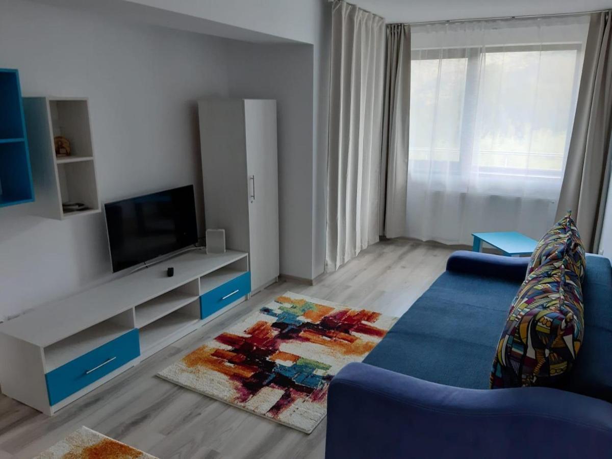 Ferienwohnung Dorin Colina Marei Sinaia Exterior foto